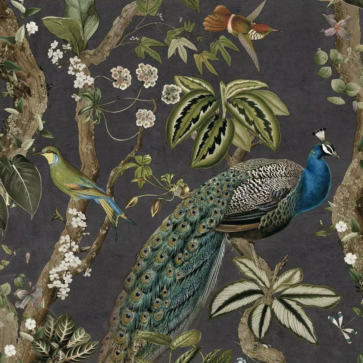 Holden Decor Peacock Woods Charcoal Wallpaper 13681